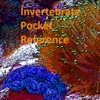 Invertebrate Pocket Reference