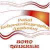 Sono Quiz Fetal Echocardiography Anatomy