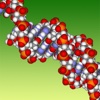 Molecular Genetics