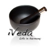 iVeda (the Ayurveda consultation)