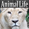 Animal Life HD