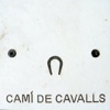 Cami de Cavalls