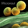 Micronaut - the art of microscopy