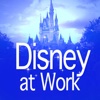 Disney World at Work - Magic Kingdom