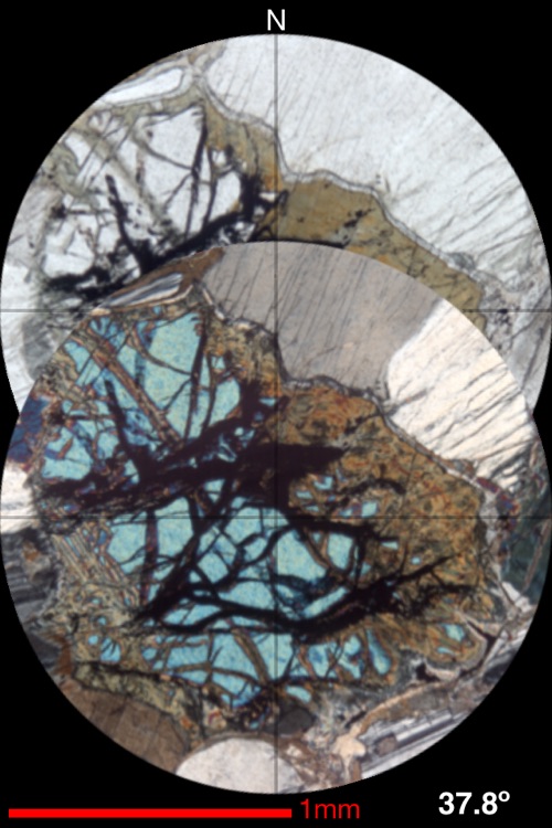 Virtual Microscope screenshot-3