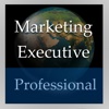Marketing Executive (Professional Edition)