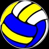 VolleyballSim