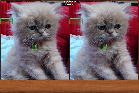 Cats Spot the Difference(圖1)-速報App