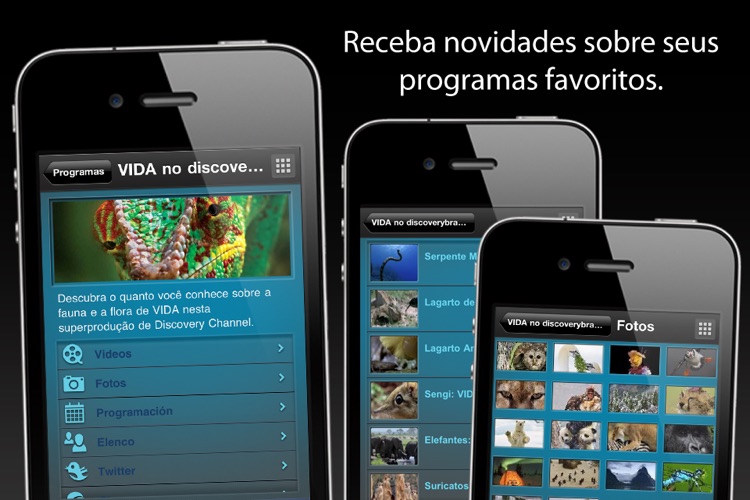 Discovery Channel Brasil screenshot-3