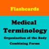 Medical Terminology 3