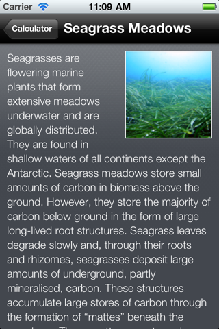 UNEP Carbon Calculator screenshot 4