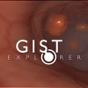 GIST Explorer