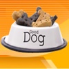 How To Dieting Your Dog - More Years Together w...