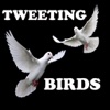 Tweeting Birds