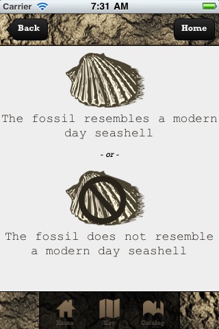 The Fossilator