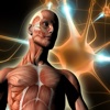ATLAS: Human Body Anatomy A-Z for iPad