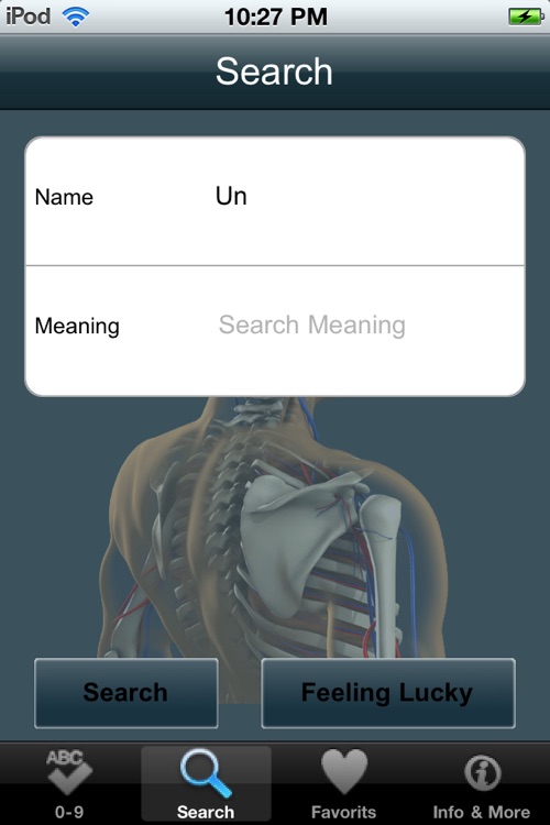 VISUAL: Organ Anatomy