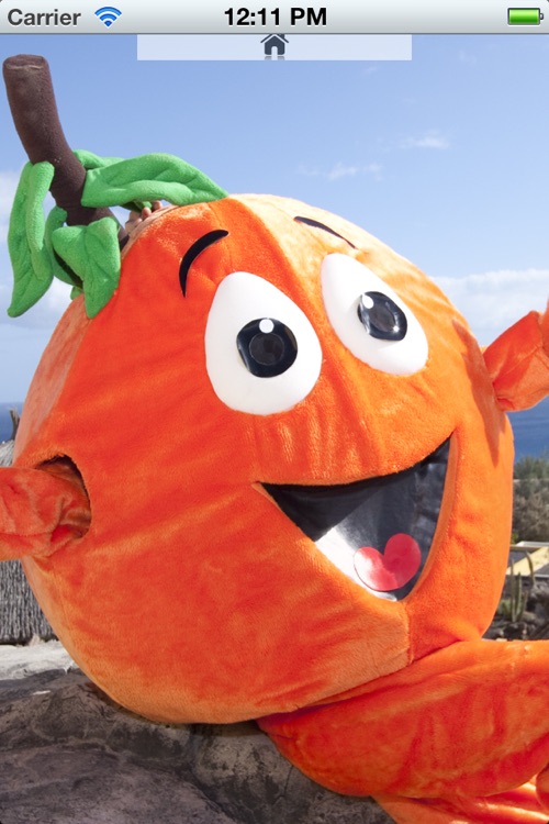 arancino screenshot-3