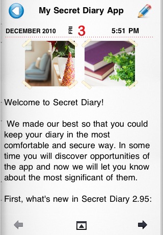 Secret Diary