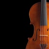 Real Violin