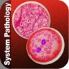 HD Pathology