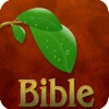 Bible Plant