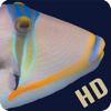 Fish Fun HD