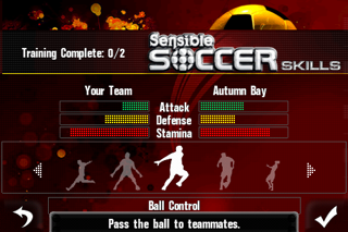 Sensible Soccer Skills screenshot 3