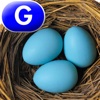 Whose Eggs Are These? - LAZ Reader [Level G–first grade]