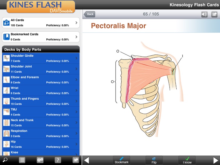 Kinesiology Flash Cards for iPad