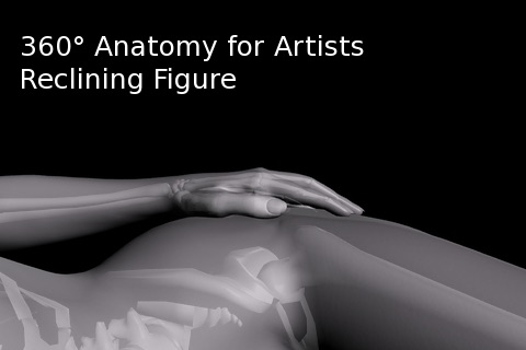 360 Anatomy for Artists - Reclining Figure