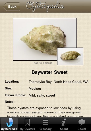 Oysterpedia