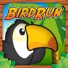 Bird Run