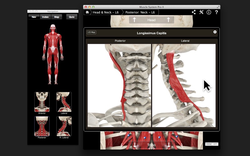 Muscle System Pro III screenshot1