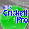 Flick Cricket Pro
