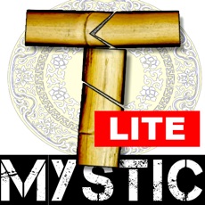 Activities of Mystic T Puzzle Lite
