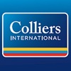 Colliers ROI Calculator