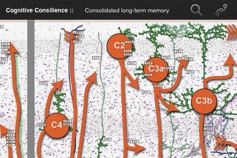 Cognitive Consilience screenshot 3