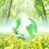 125 Ways To Go Green and Save Green at the Same Time