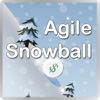 Agile Snowball: Debt Simplified