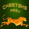 Cheetahs Prey