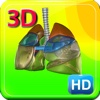 3D Human Lung HD