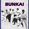 Practical Karate - Realistic Street Bunkai