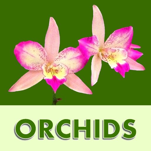 Orchid Wallpaper Lite icon