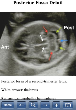 Handbook of High-Risk Obstetrics