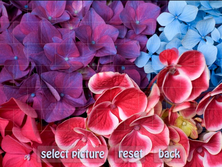 Puzzle Master Flowers HD Free