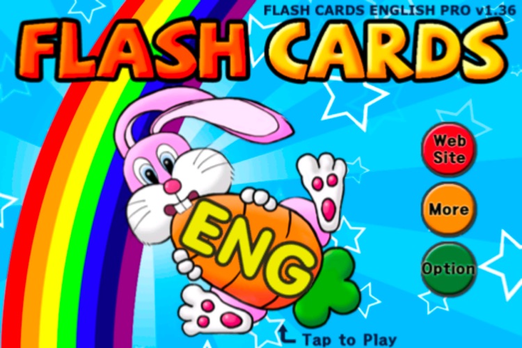 Flash Cards English Pro