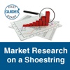 Market Research on a Shoestring