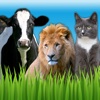 Animal Sounds - Zoo, Pet and Farm Sounds