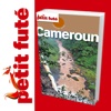 Cameroun - Petit Futé - Guide numérique - Voyages ...